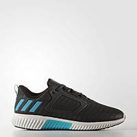 Жіночі кросівки Adidas Climaheat All Terrain W S81979