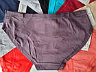 Трусики Бавовняні Мікс 24шт (7405), фото 3