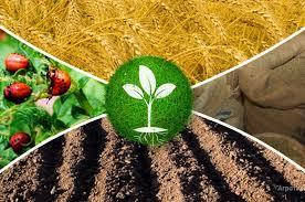 Мікродобрива та засоби захисту рослин