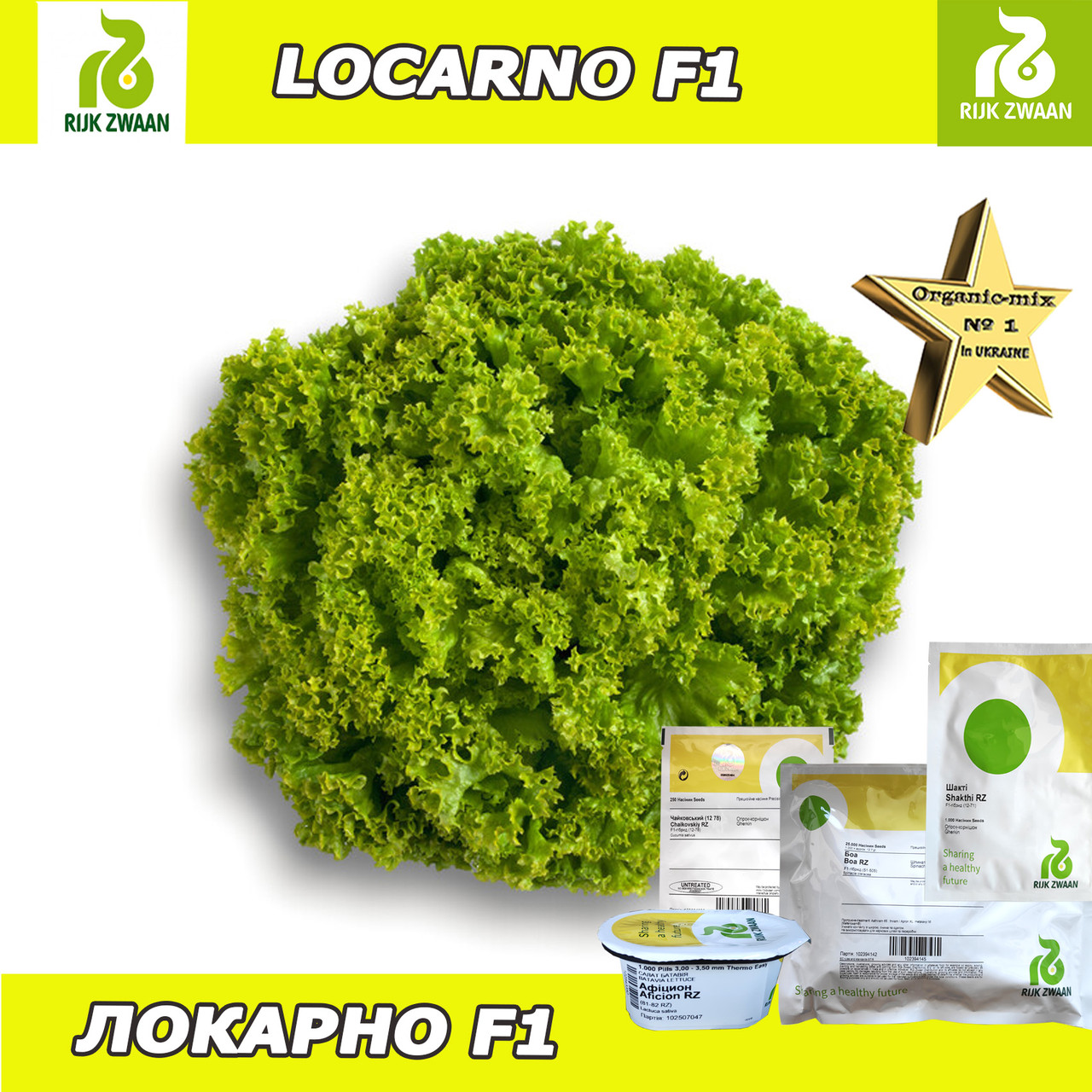 Салат ЛОКАРНО F1, 1000 насіння, ТМ Rijk Zwaan (Нідерланди)
