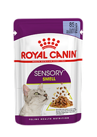 Влажный корм для взрослых кошек, требовательных к аромату Royal Canin Sensory Smell Jelly (кусочки в желе) 85г