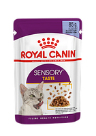 Влажный корм для взрослых кошек, требовательных по вкусу Royal Canin Sensory Taste Jelly (кусочки в желе) 85г