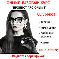 Онлайн базовый курс "Бровист PRO ONLINE" 60 уроков , 11 домашних заданий