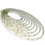 Світлодіодна стрічка 12V, 5050, 60 led/m, 14.4W, IP20, 3000K - білий теплий, Standart. ST-12-5050-60-WW-65, фото 3