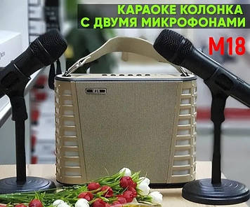 Портативний караоке колонка Вбудований USB, Bluetooth, MP3. Час роботи 4:00. M18