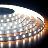 Світлодіодна стрічка 12V, smd5630, 60 led/m, 15W, IP20, 6500K - білий холодний, ST-12-5630-60-CW-20-V2, фото 2
