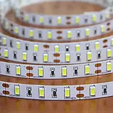 Світлодіодна стрічка 12V, smd5630, 60 led/m, 15W, IP20, 6500K - білий холодний, ST-12-5630-60-CW-20-V2, фото 3
