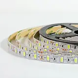 Світлодіодна стрічка 12V, smd5630, 60 led/m, 15W, IP20, 6500K - білий холодний, ST-12-5630-60-CW-20-V2, фото 5