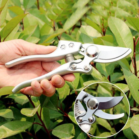 Секатор Pruner площинний, фото 1