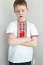 Вишиванка з коротким рукавом для хлопчика з синьою червоною вишивкою, фото 3