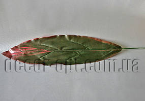 Аркуш Драцени зелено-бордовий 39х13 см