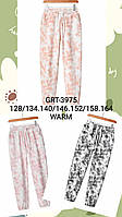 Спортивные утепленные штаны для девочек оптом, Glo-story, 128/134-164 см,  № GRT-3975