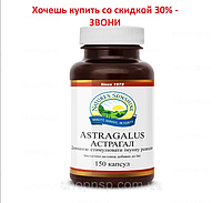 Астрагал НСП. Астрагал НСП Astragalus. Натуральная БИОДОБАВКА