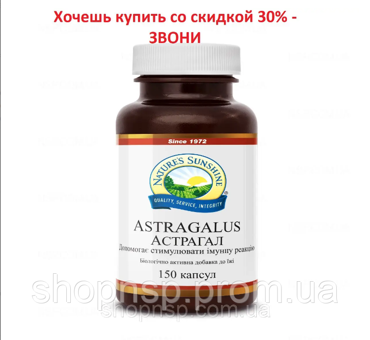 Астрагал НСП. Астрагал НСП Astragalus. Натуральная БИОДОБАВКА (ID ...
