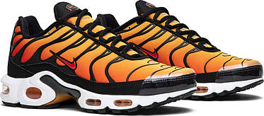 Кросовки Nike Air Max Plus Tn Sunset - 604133-886, фото 4