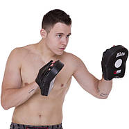 Лапа вигнута для боксу та єдиноборств Fairtex 2 шт (BO-3356), фото 8