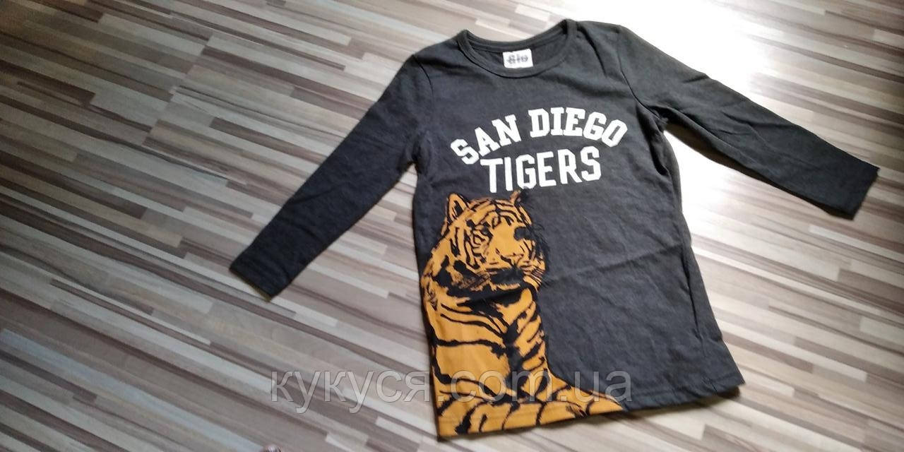 Реглан для хлопчика (темно-сірий) тигр