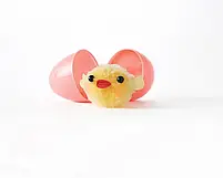 Набір для творчості Klutz: Mini Pom-Pom Pets, фото 8