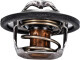 Термостат Duster/Logan/Clio/Kangoo/Megane I, II, III 1,4/1.6/2.0i 98- (88 C) RENAULT