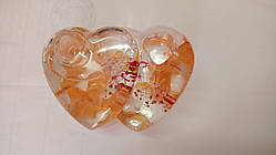 Підставка для зубних рахунків Морські водорості