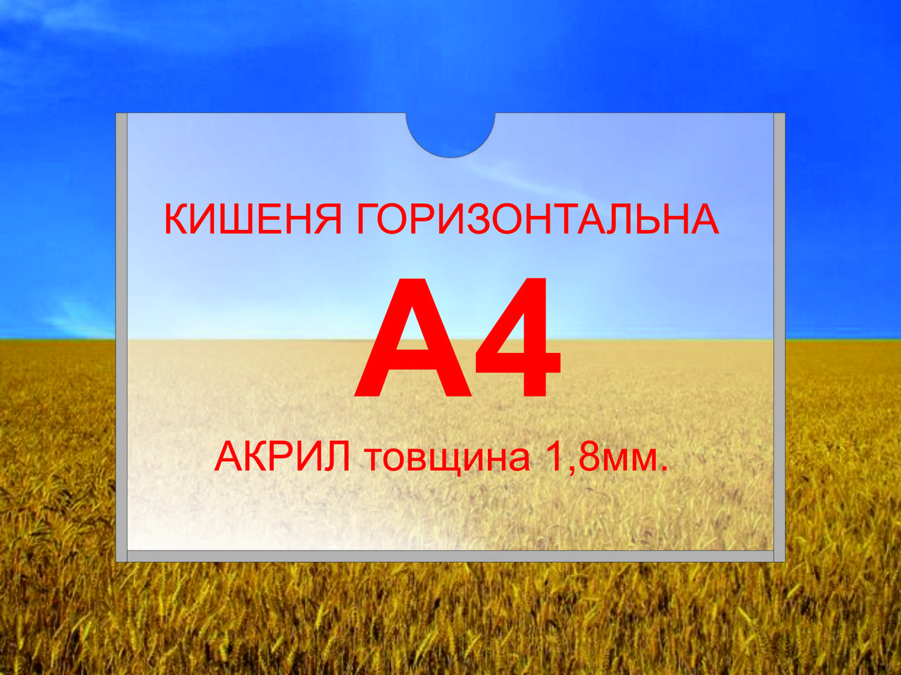 Кишеня для стендів А4 горизонтальна акрил 1.8мм. Кишеня настінна прозора.