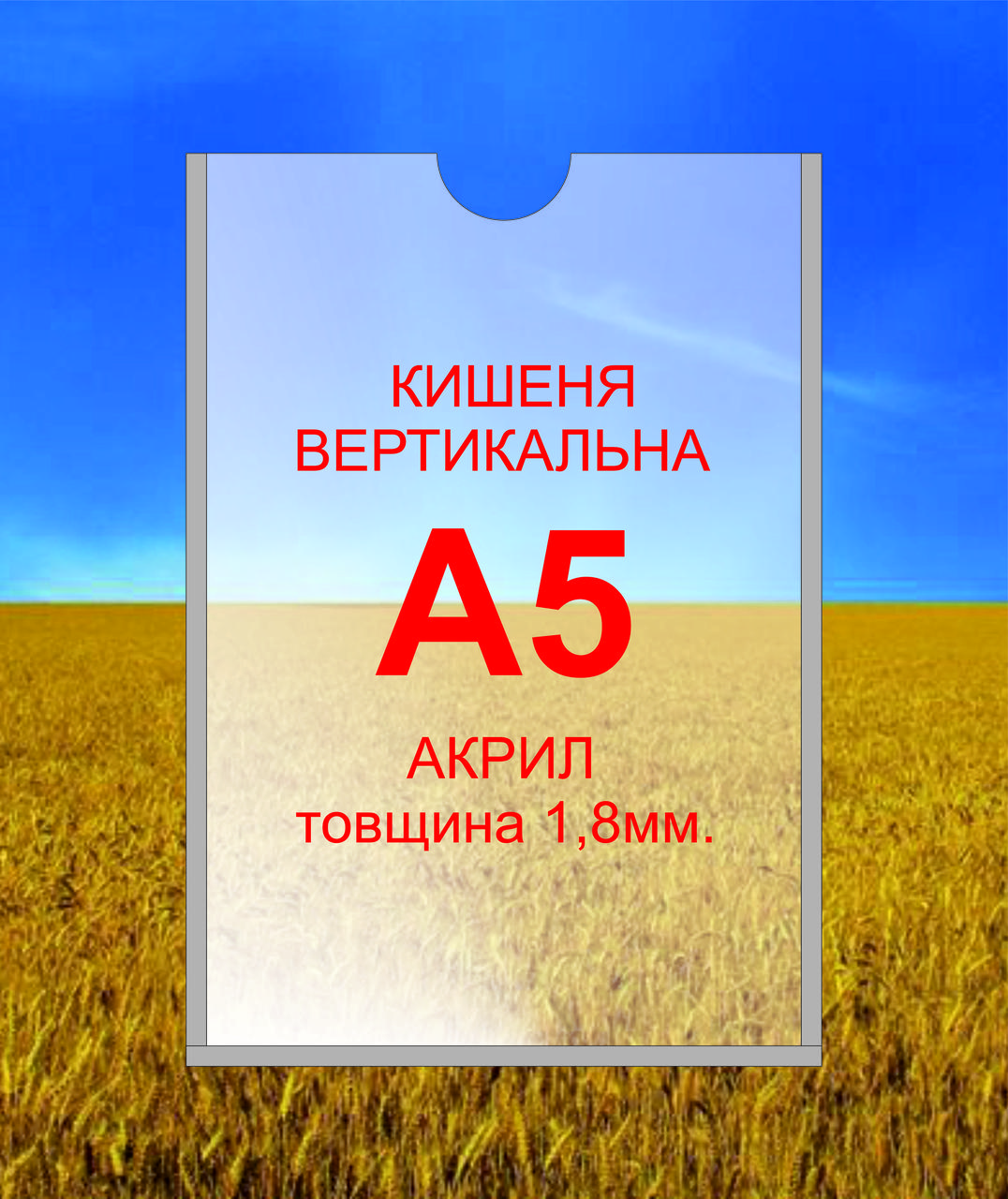 Кишеня для стендів А5 вертикальна акрил 1.8мм. Кишеня настінна прозора.