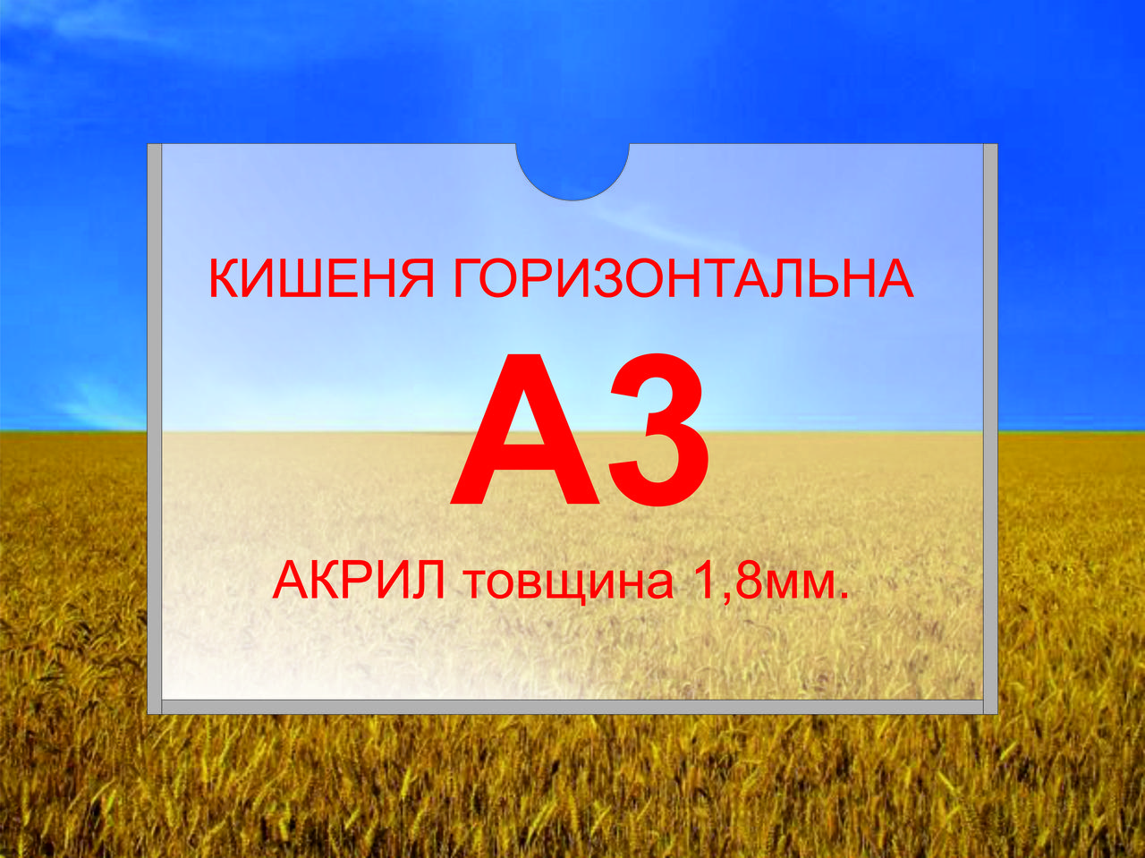 Кишеня для стендів А3 горизонтальна. Кишеня формат А3 акрил 1,8мм.