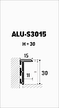 Плінтус прихованого монтажу алюмінієвий ALU-S3015 Фарбований, фото 2