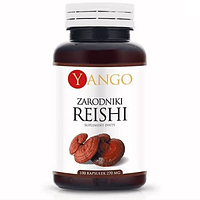 Грибы Рейши Споры 100 кап Yango Reishi Доставка из ЕС