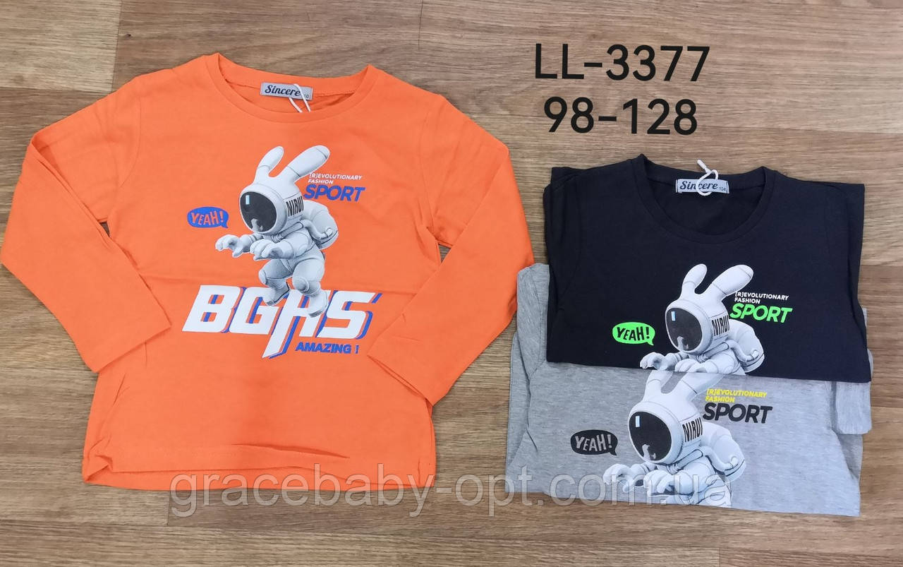 Реглан з легким напиленням для хлопчиків оптом, Sincere, 98-128 см, № LL-3377