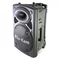 Колонка Su-Kam BT 150D + 2 микрофона 12v\220v, фото 3