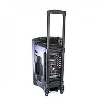 Колонка Su-Kam BT 150D + 2 микрофона 12v\220v, фото 4