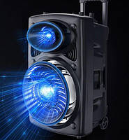 Колонка Su-Kam BT 150D + 2 микрофона 12v\220v, фото 6
