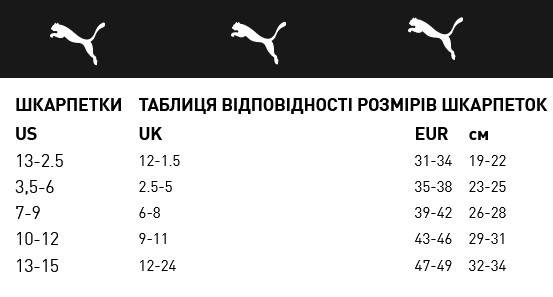 Puma quarter 2025