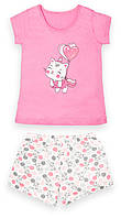 Піжама дитяча літня для дівчаток футболка + шорти GABBI PGD-22-1 Litle cat Рожевий на зріст 104 (13189)