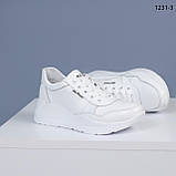 Жіночі білі шкіряні кросівки Демісезонні весняні осінні Натуральна шкіра Розміри  36 37 38 39 40 41, фото 7