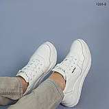 Жіночі білі шкіряні кросівки Демісезонні весняні осінні Натуральна шкіра Розміри  36 37 38 39 40 41, фото 3