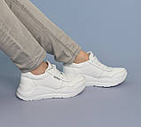 Жіночі білі шкіряні кросівки Демісезонні весняні осінні Натуральна шкіра Розміри  36 37 38 39 40 41, фото 2