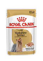 Вологий корм Royal Canin Yorkshire Terrier Adult для дорослих собак породи Йоркшир Тер'єр 85 г