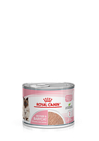 Влажный корм для котят и кошки в период беременности и лактации Royal Canin Mother&Babycat Cans 195 г