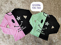 Реглан для дівчаток оптом, Grace, 134-164 см, № G12296, фото 2