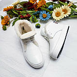 Натуральні жіночі зимові черевики хайтопи на шнурівці WHYNOT, фото 3