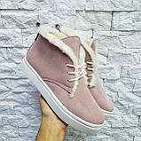 Натуральні жіночі зимові черевики хайтопи на шнурівці WHYNOT, фото 5