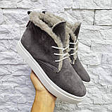 Натуральні жіночі зимові черевики хайтопи на шнурівці WHYNOT, фото 8