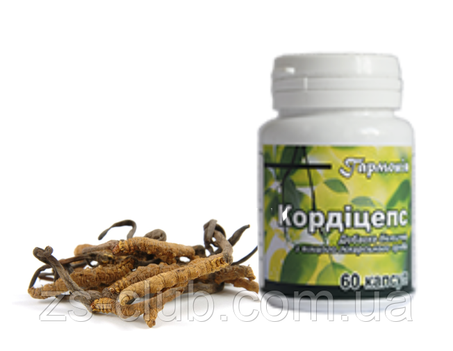 Кордицепс Форте экстракт лечебного гриба, 60: продажа, цена в Днепре ...
