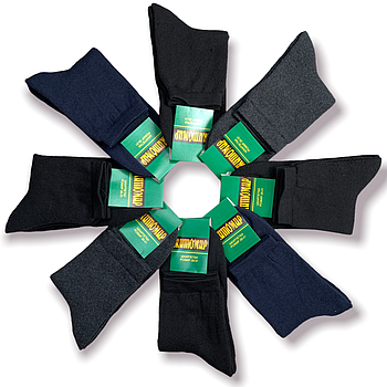 Шкарпетки чоловічі махрові бавовна Premium Житомир, розмір 25-27, асорті, 08704