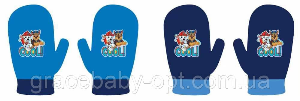 Рукавички для хлопчика оптом, DISNEY, № PAW-A-Gloves-166