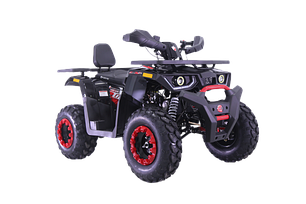 Бензинові квадроцикли Forte