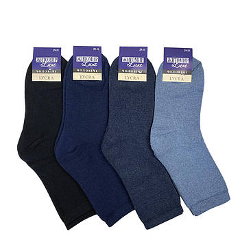 Чоловічі високі махрові шкарпетки Житомир Luxe 25-27