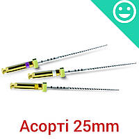 Пасфали Асорті, 6 шт., 25 mm, Пас файли, PathFile Assorted (Dentsply Sirona)